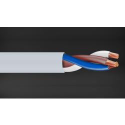 3 Core Control Cable FEP Insulated CFP-106