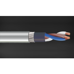 3 Core Control Cable XLPE Armored  CX-113