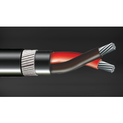 2 Core XLPE Armoured Power Cable As per IS 7098-1 PX 202