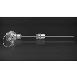 K Type Duplex Thermocouple with Head, Inconel 600, 4.5 mm dia, 1/2"NPT, 1000 mm length (T-101)